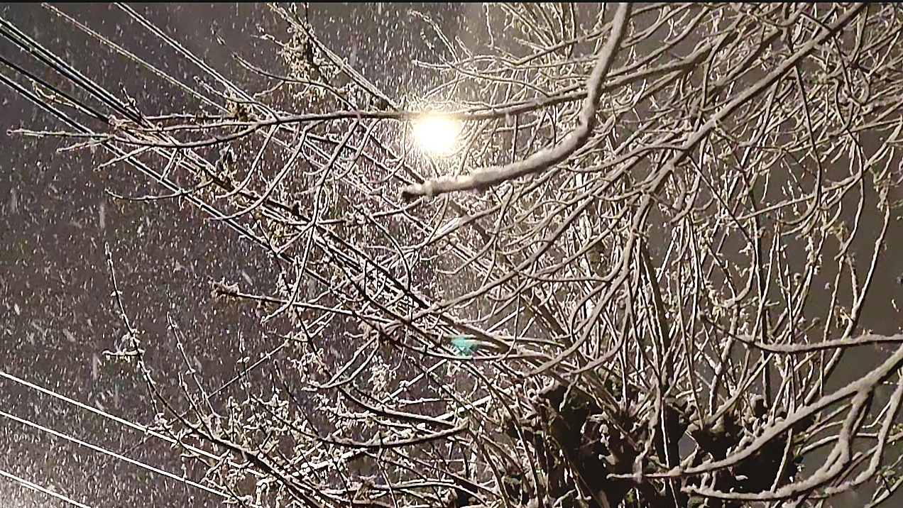 Снегопад в Рязани (Касимовское шоссе)