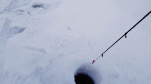 День на коленях на р.Свирь.