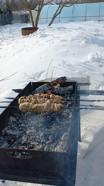 Шашлычок на даче, открытие сезона .