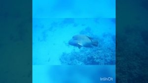 InShot_20260216_134235427.mp4