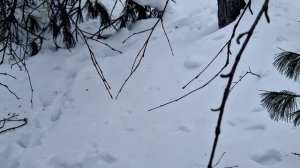 Очередная проверка. Еду один. Продолжение!