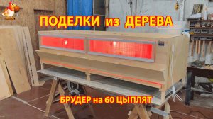 Брудер для цыплят на 60  голов как сделать своими руками