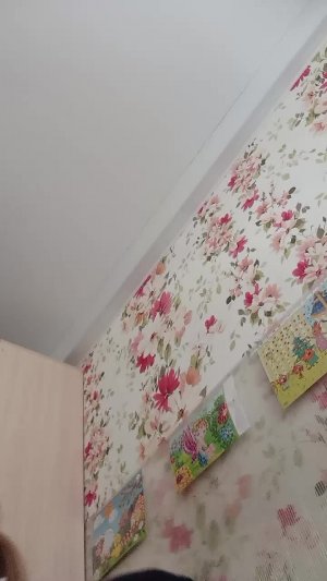 Обычный день