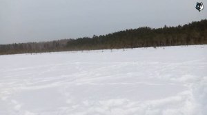 Окунь на мормышку