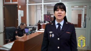 Полиция Липецка раскрыла аферы с продажей водительских прав и конфискованных авто на 8,3 млн рублей