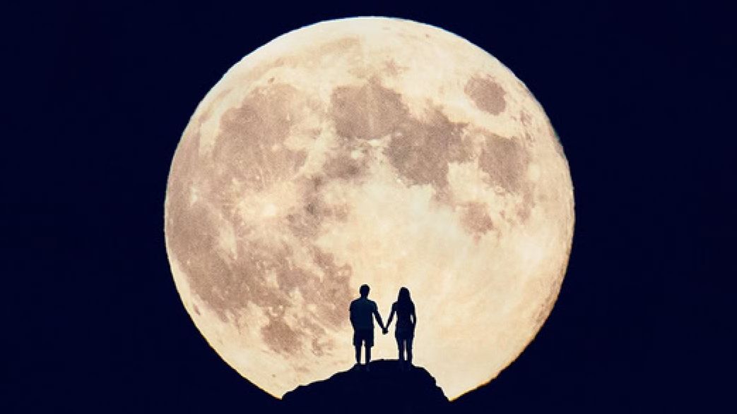 Vaya Con Dios ~ Don't Cry For Louie