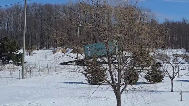 Сельчанка в Америке/КУПИЛИ БОЛЬШОЙ КОНТЕЙНЕР.