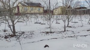 О потеплении климата  в Сибирских садах