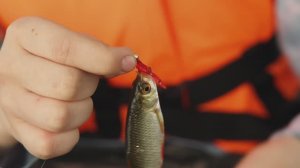 "КЛЕВОЕ ДЕТСТВО" Мормышинг, красноперка