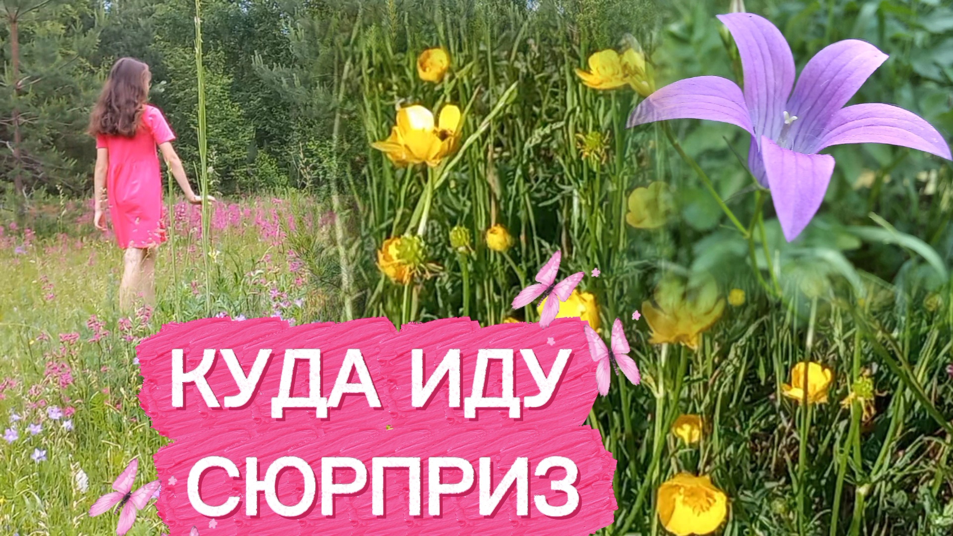 Луговые цветы. Куда иду- сюрприз...
