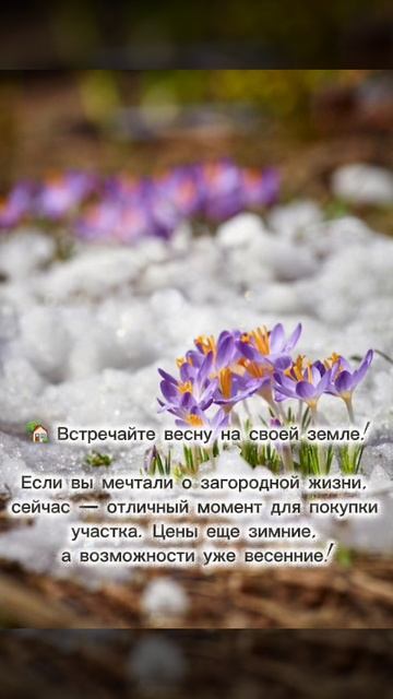 Весна в Новоалексеевске!