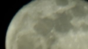 Признания в искренней любви под луной