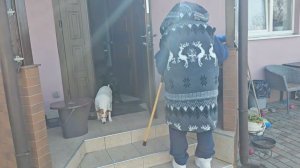 Сытники- Купил маме золотой унитаз.