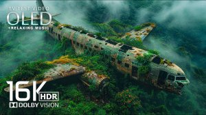 Забытая природная красота