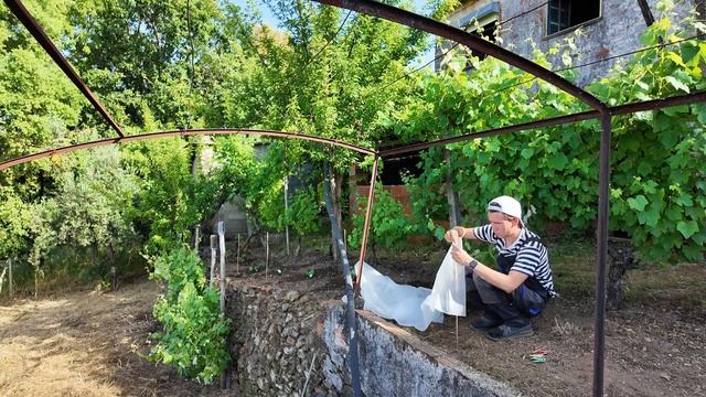 Первые посадки в Португалии- кабачки, огурцы и закопанные тайны! Выпуск 6(Дом в Португалии)