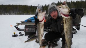 ОСТАВИТЬ ЖЕРЛИЦЫ ДО ВЕЧЕРА И ОБАЛДЕЛ. НОЧЬ В ПАЛАТКЕ С ПЕЧЬЮ. В ТЕМНОТЕ ЩУКА ВЗБЕСИЛАСЬ. УЛОВ УДИВИЛ