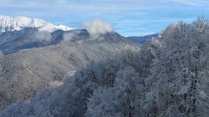"Есть тишина..." (стихи Зинаиды Миркиной)