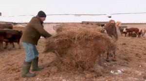 Фермер — защитник Родины. Агрокурьер