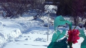 Праздник ждём 8 марта!