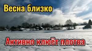 В самом начале марта рыбачим на мормышку. Активно клюёт плотва. Вспоминаю прошлогодние жерлицы.