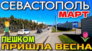 СЕВАСТОПОЛЬ. ПЕШКОМ. СТУДГОРОДОК. ТЦ. МУССОН и ЛАВАНДА. УЛ. ВАКУЛЕНЧУКА. ЦУМ. МАРТ. #севастополь