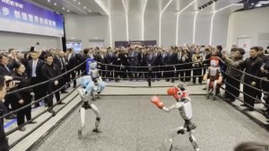 SDR Robots welcome German chancellor on second day of China visit 4K