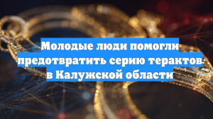 Молодые люди помогли предотвратить серию терактов в Калужской области