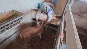 Так не должно быть!