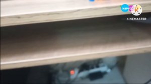 Мультсериал Приключения ТНТ Большой Секрет Рекламный Блок На Канале Карусель 04 марта 2026 года