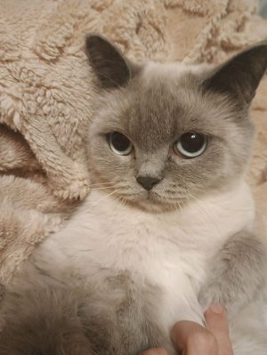 отвечаю на вопросы😊😊😊