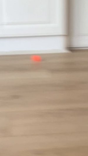 Мой котенок!