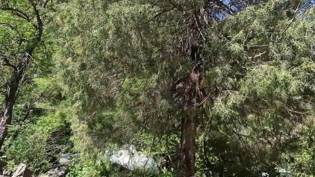 Mountains Of Uzbekistan. Hiking To Ispai Waterfall | Водопад Испай в горах Узбекистана