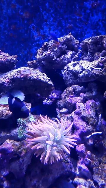 #ВЛЮБИЛСЯ С ПЕРВОГО ВЗГЛЯДА И ИЩУ ТЕБЯ