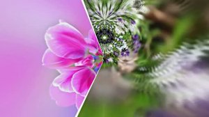 Весеннее Поздравление С Днём Рождения 2 от Киностудии Мудрого Кота Тимофея!