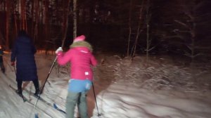 ❄️ Лыжи в феврале 2021: Год без масок? Нет, всё ещё в масках. Экопарк "Затюменский"