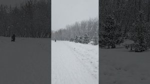 ЗИМА ВЕРНУЛАСЬ