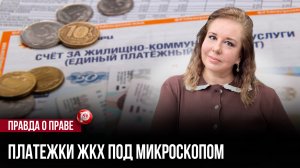 51 миллиард "лишних" денег: ФАС нашла в наших квитанциях то, чего там быть не должно