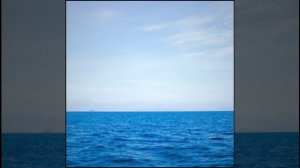 Есть нечто © Copyright: Бронислав Сычёв, 2026
Свидетельство о публикации №126030402691