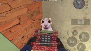 а поч не ставиця?