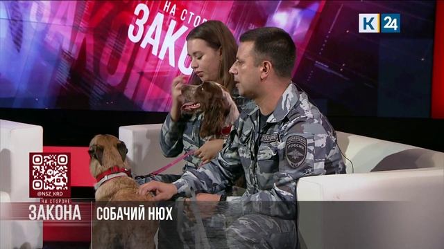 На стороне закона. 04.03.2026