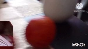 Побег от Военных апельсинов Add Round 5