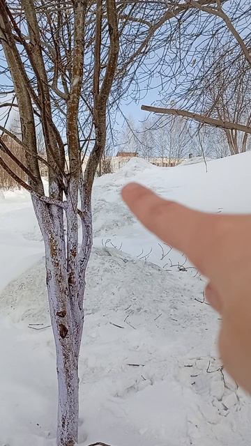 1000001384.mp4 смотреть онлайн