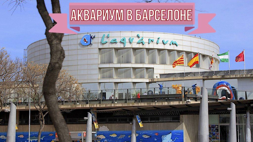 Океанариум в Барселоне.
