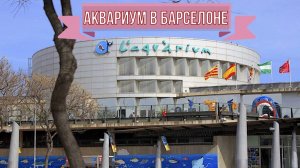 Океанариум в Барселоне.