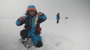 НАУЧИ МЕНЯ" Камское устье. Андрей Ферафонтов