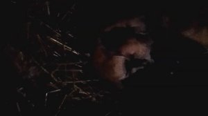 Вот эта новость!