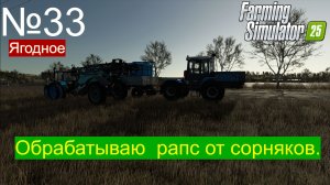 FS25 МТЗ 1221 Защита рапса от сорняков.