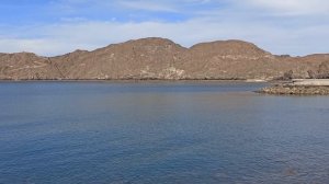 Некогда султанам купаться!)