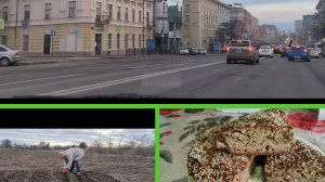 Ростов-на-Дону.Огородный сезон открыт. Очень вкусный заливной пирог.