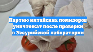 Партию китайских помидоров уничтожат после проверки в Уссурийской лаборатории
